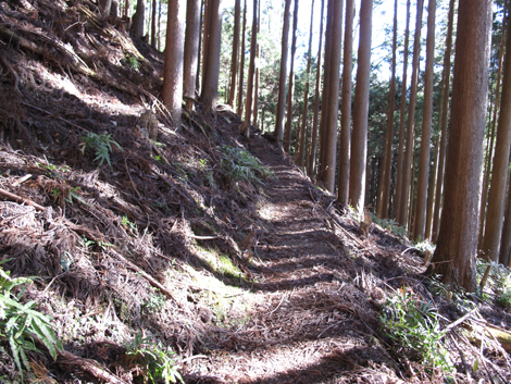 20190121hike (34)